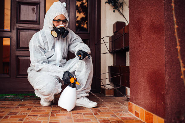 Reliable Cockroach Control contractor in Bexley, OH by Nex Pest Control